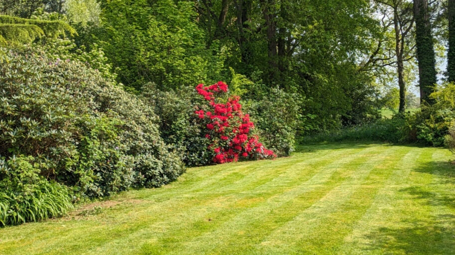 Lawn care &amp; maintenance