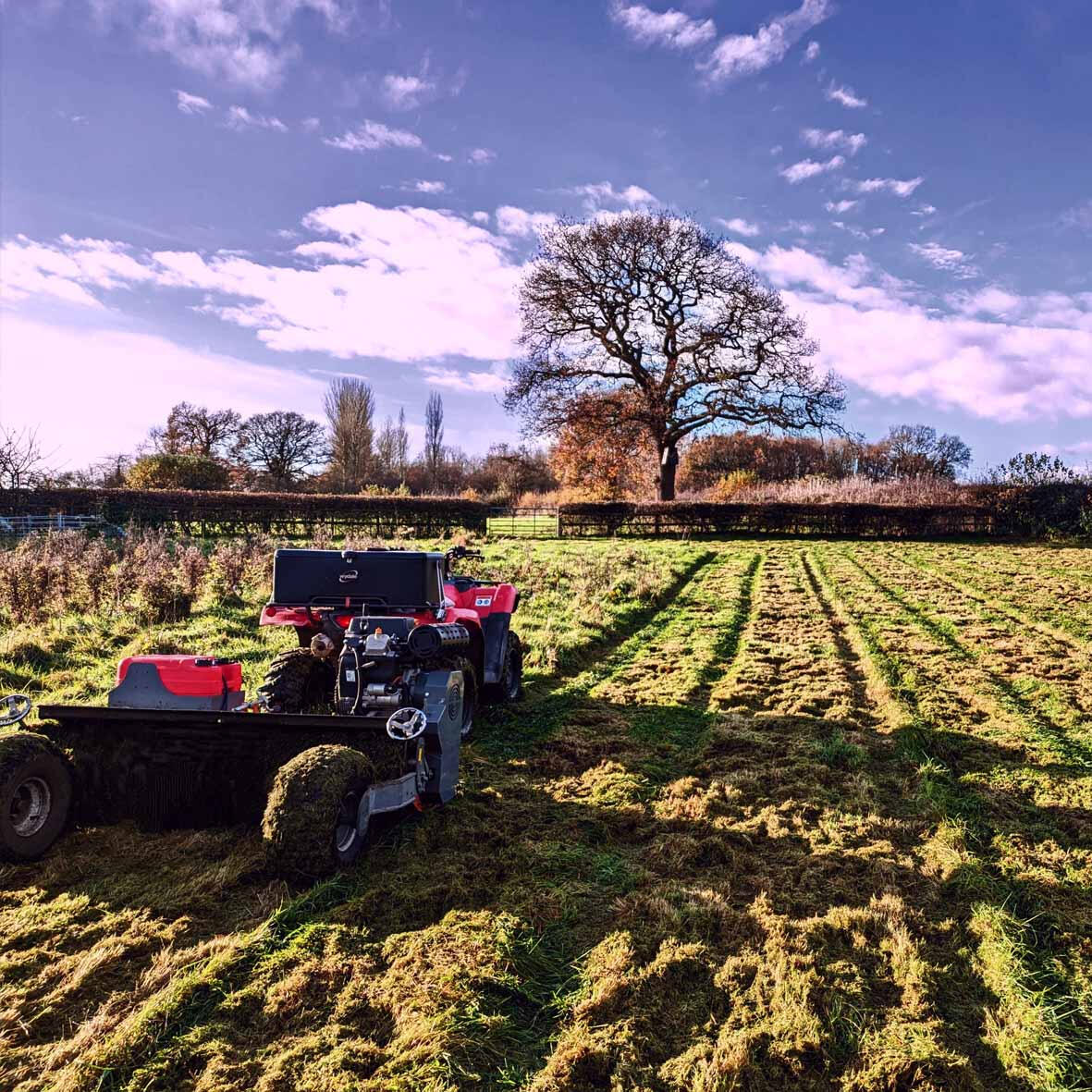 Flailing &amp; field maintenance