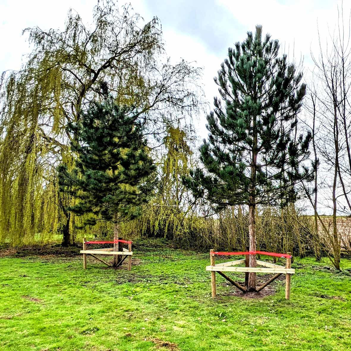 Tree planting &amp; support