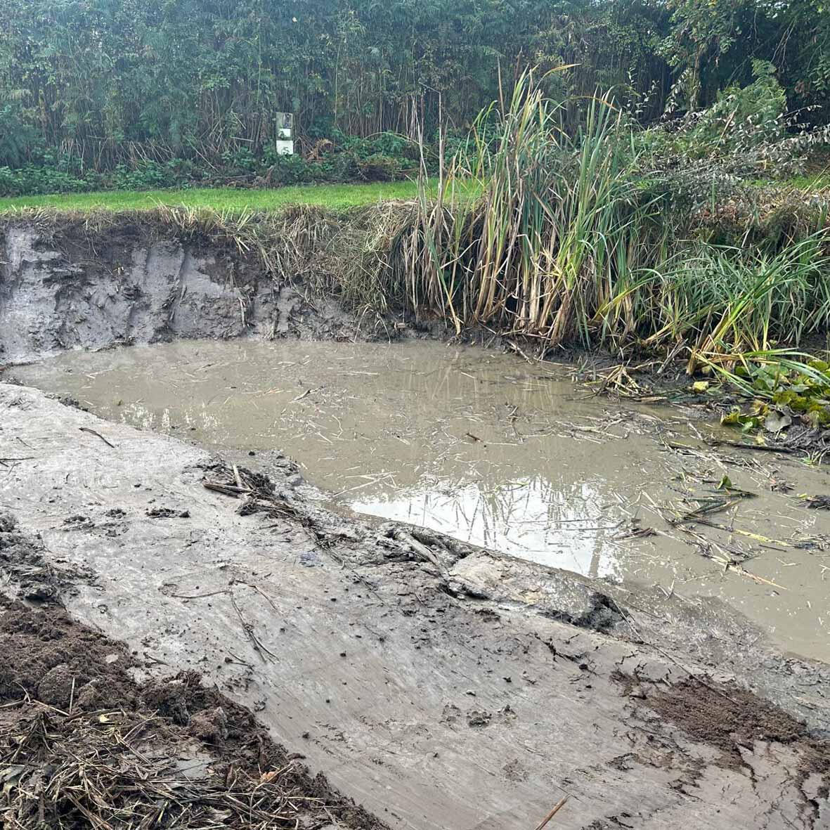 Pond clearance &amp; maintenance